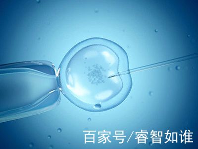 42岁二胎